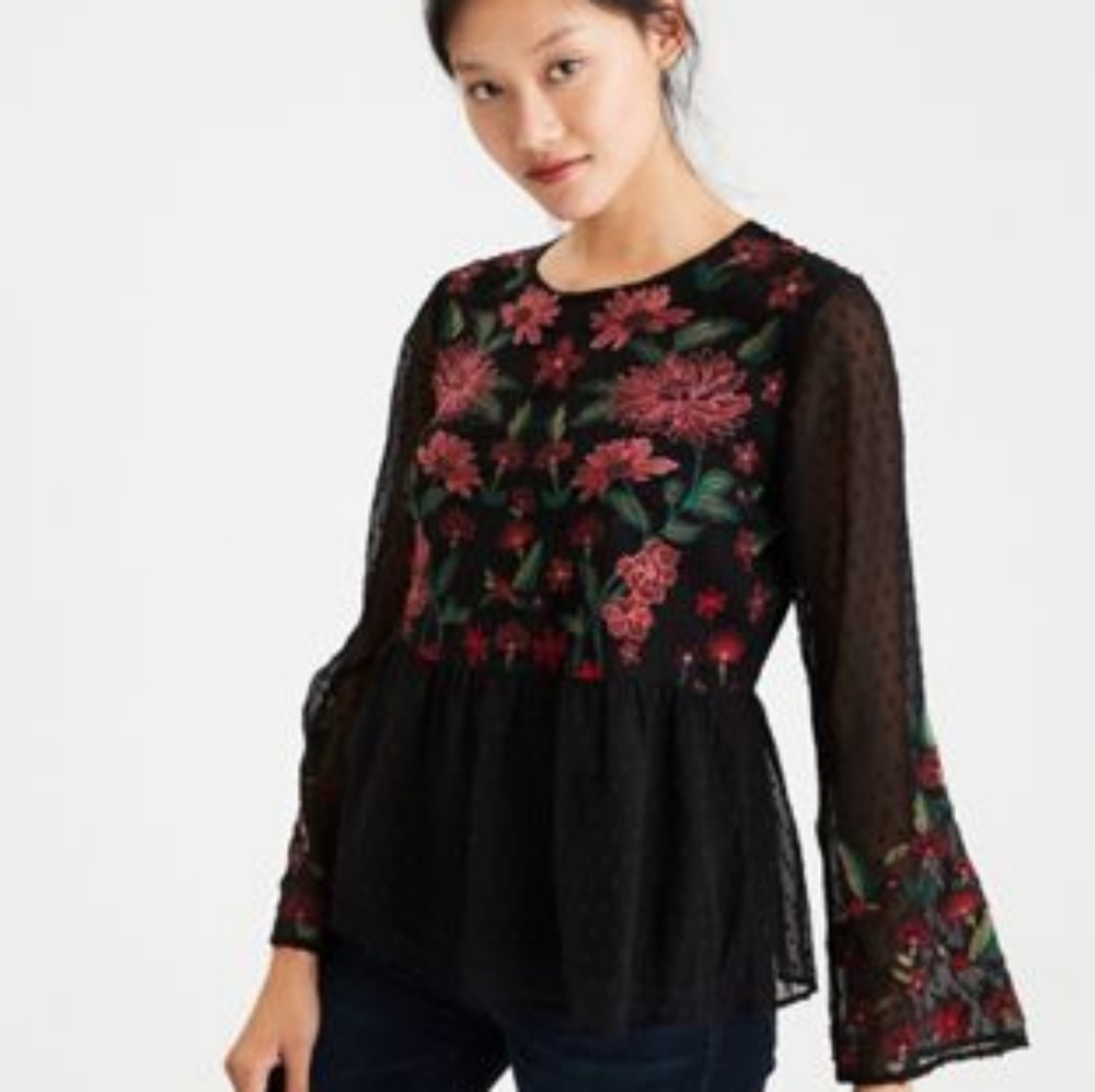 American Eagle Embroidered Chiffon Peplum Top